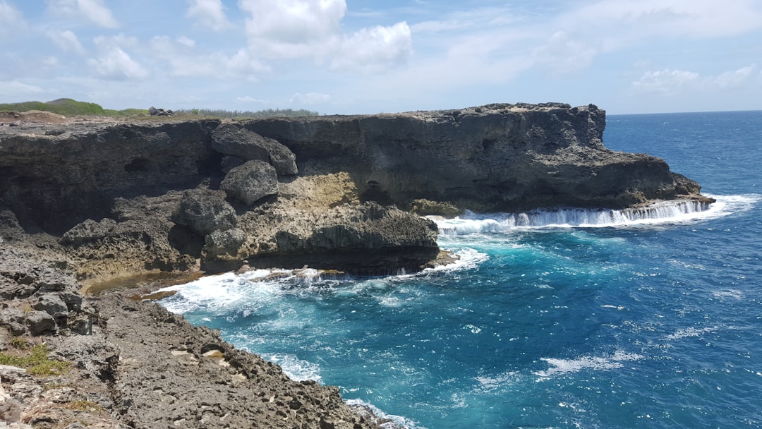 Animal Flower Cave Barbados: Is It Worth Visiting?