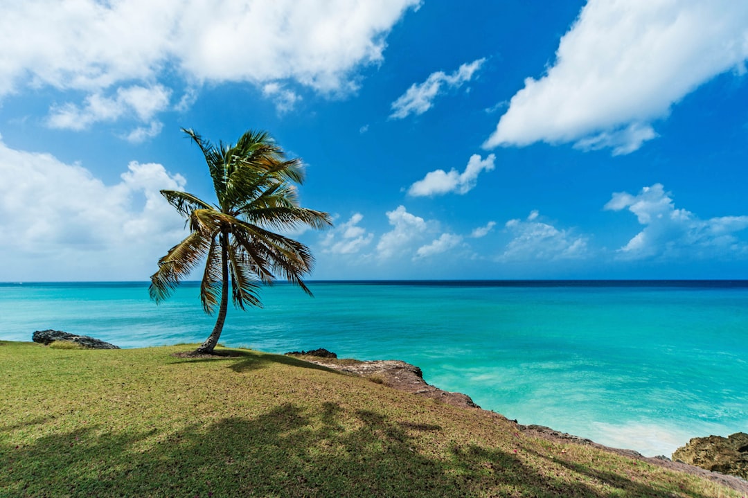 Barbados Cultural Guide: History, Heritage & Local Life