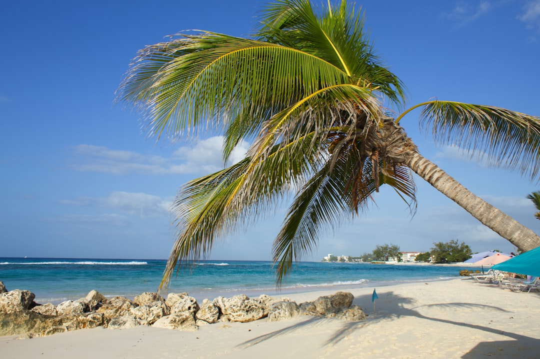 Barbados in December: Christmas, Events & Weather