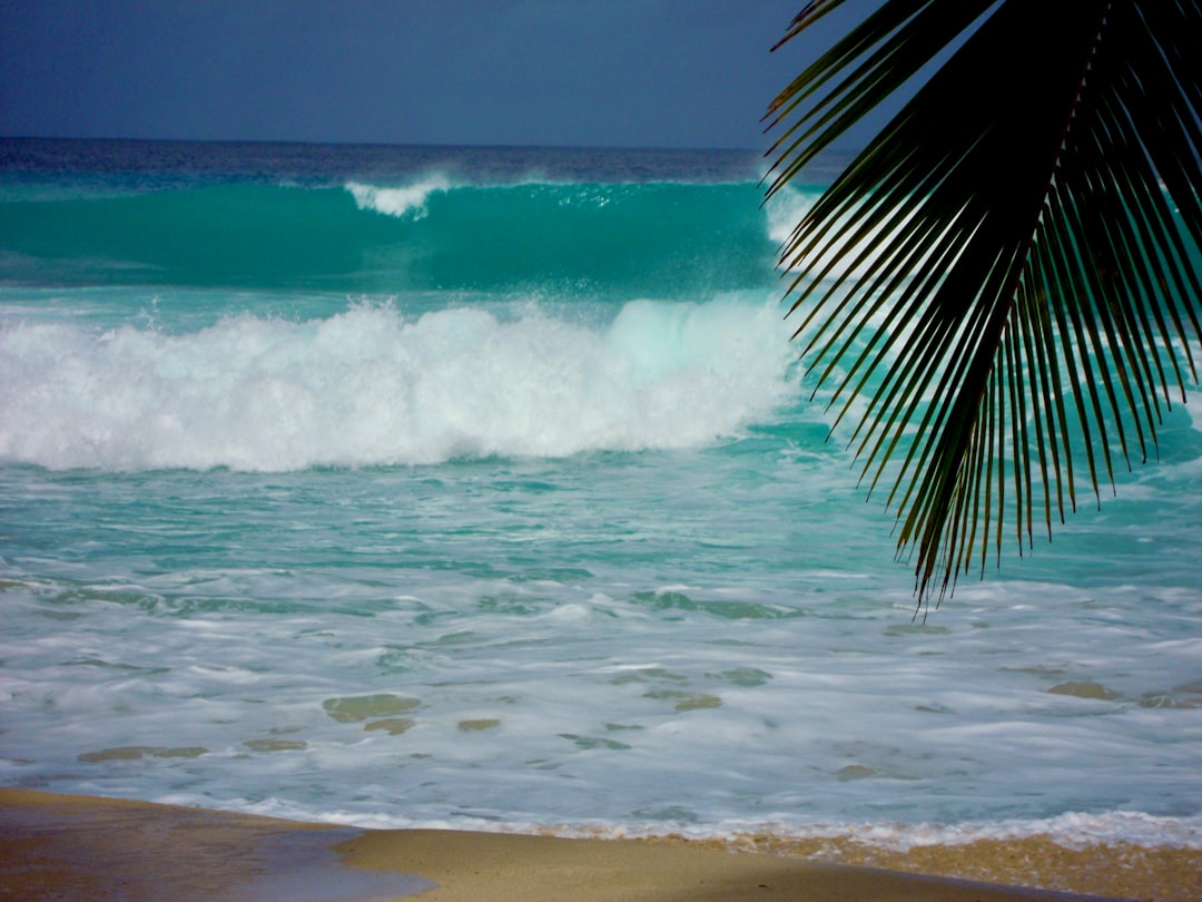 Barbados vs Jamaica: Which Caribbean Island Wins?