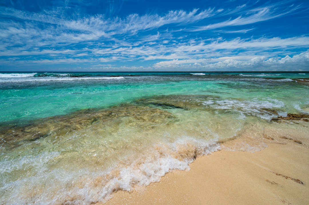 Barbados vs Trinidad: Which Island Is Right for You?