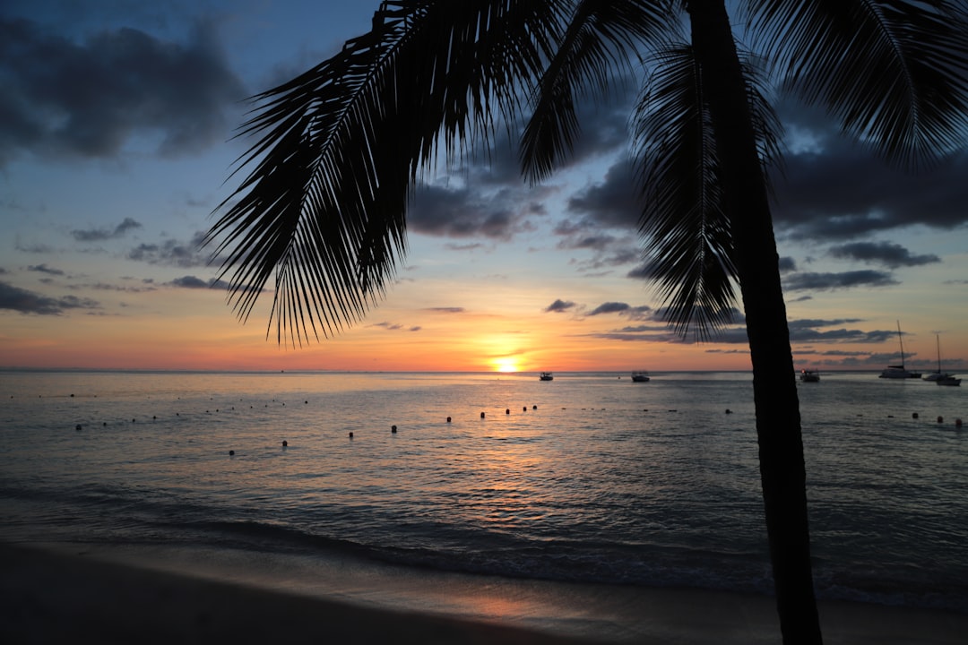 Top 10 Beaches in Barbados Ranked by Locals