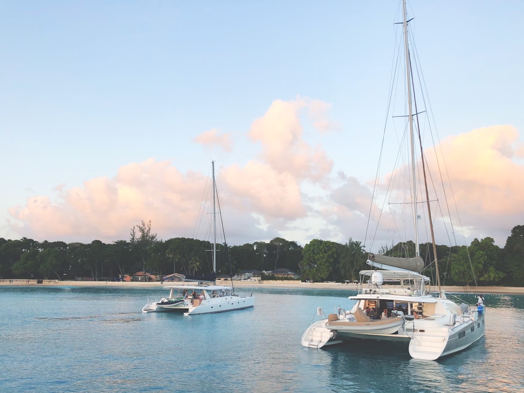 Barbados Catamaran Cruise: What to Expect