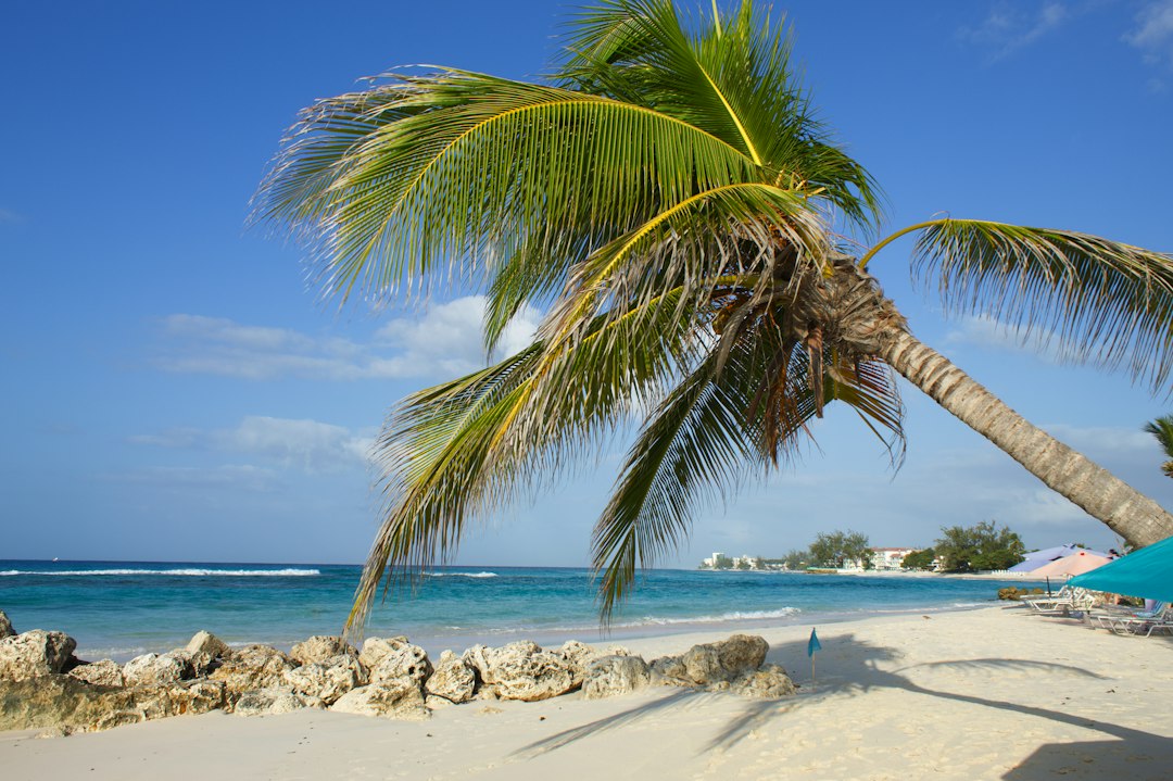 Best Barbados Experiences Under $50: Budget Fun That Feels Priceless