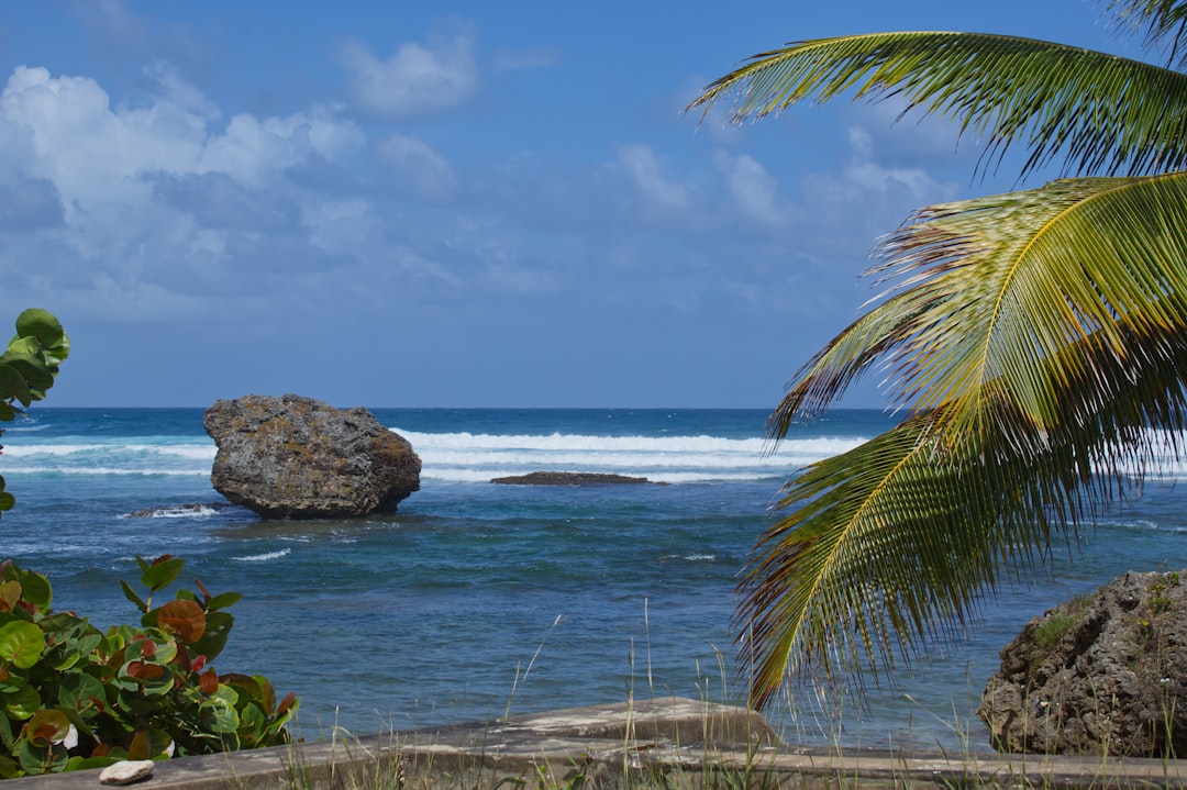 Barbados Wedding Destination Guide: Planning Your Big Day