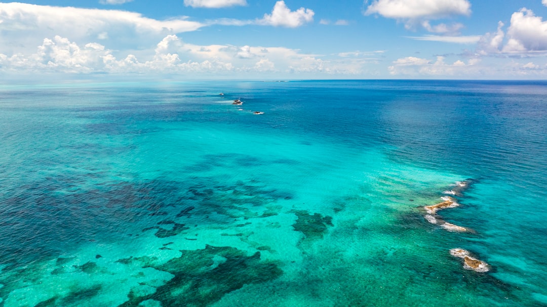 Barbados Helicopter Tours: The Best Views of the Island