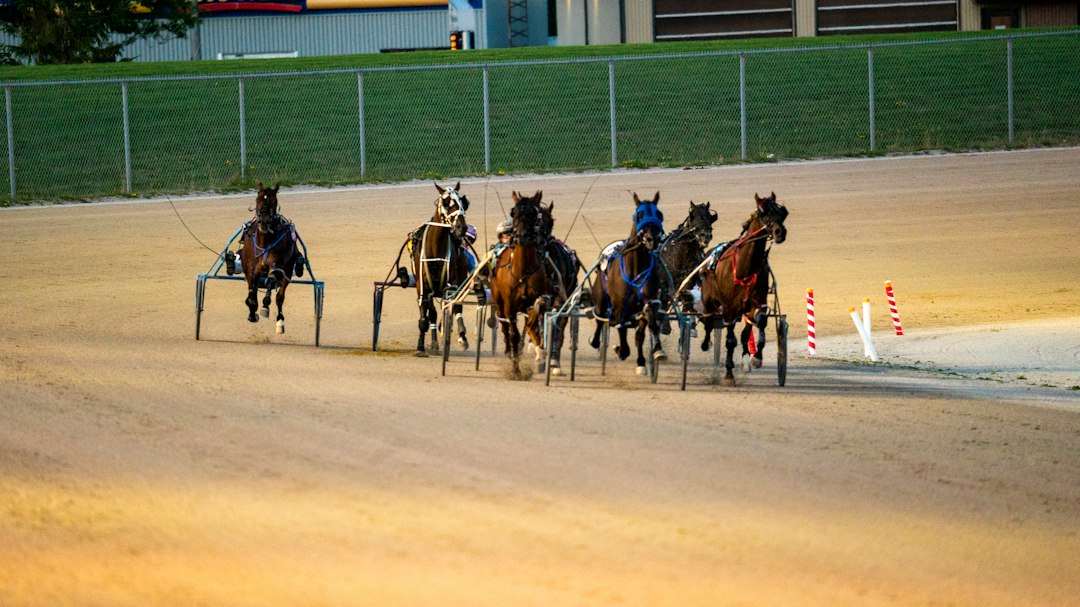 Barbados Horse Racing: A Guide to Garrison Savannah