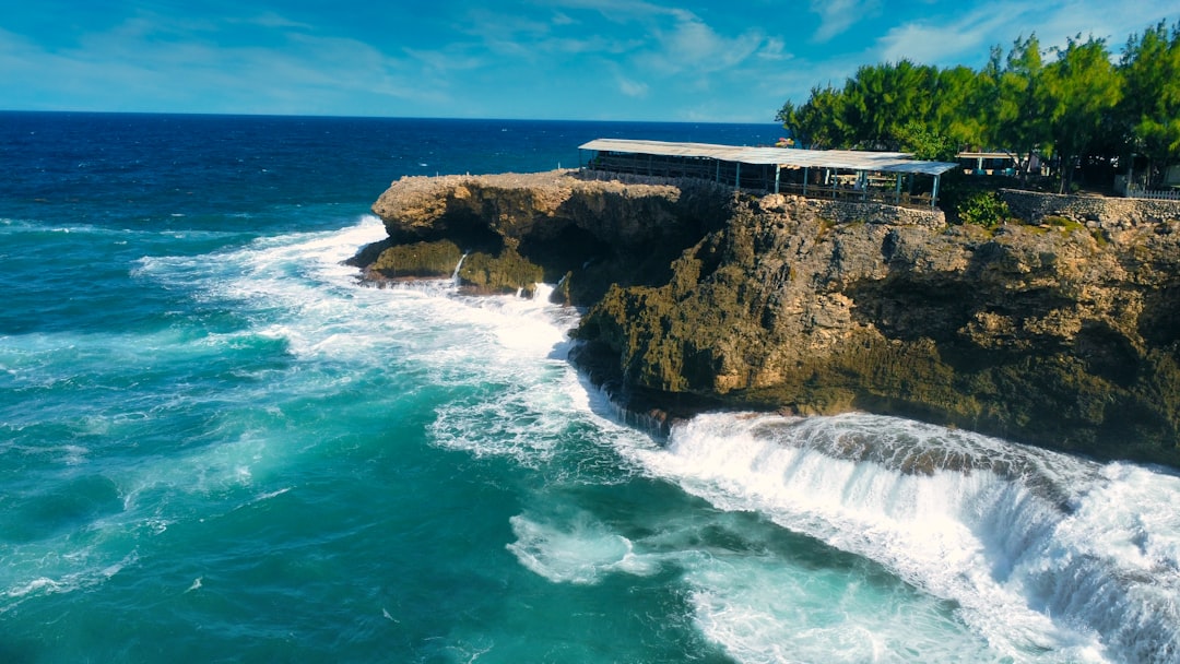 Barbados Whale Watching: When, Where & How to Book